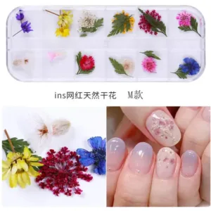 Set flores secas M