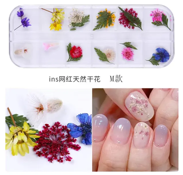 2AB4262E-5839-44CE-85B6-7CF9FDCD5D13-2.jpg Set flores secas M - Imagen 1