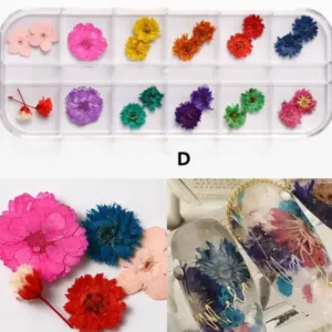 Set flores secas D