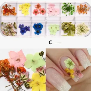 Set flores secas C